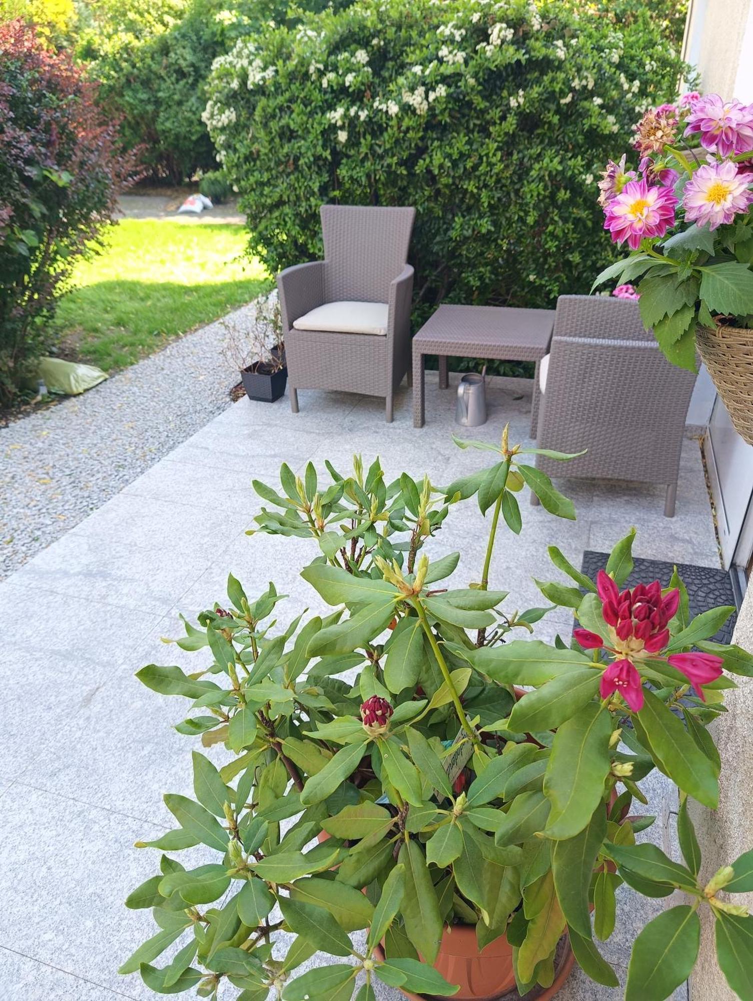 Apartment Szelag - Apartament Z Dwiema Sypialniami I Tarasem Posen